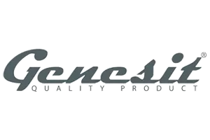 Genesit 2025